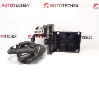 Citroën Peugeot robotväxellåda ECU 9674693580 2531A4