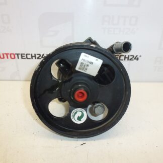 Servo Citroën Peugeot 1.6 HDI 9665709080 4007WL REPAS