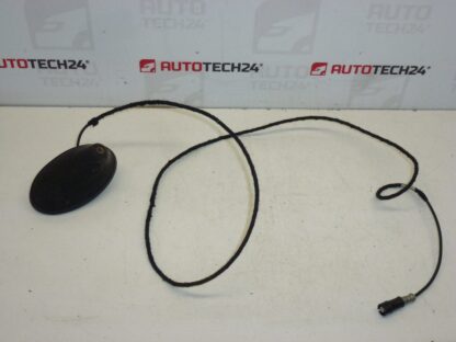 Antenn Peugeot 207 9651423580 6561GW